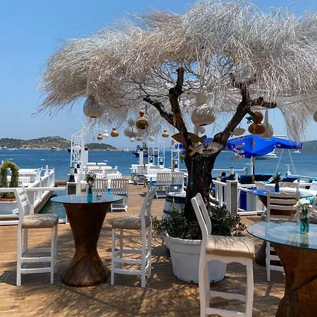 ベッド・アンド・ブレックファスト Melengec